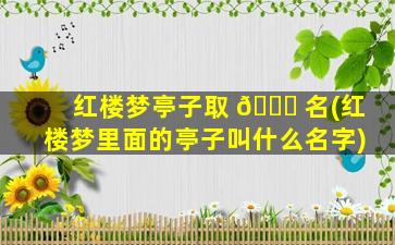 红楼梦亭子取 🐟 名(红楼梦里面的亭子叫什么名字)